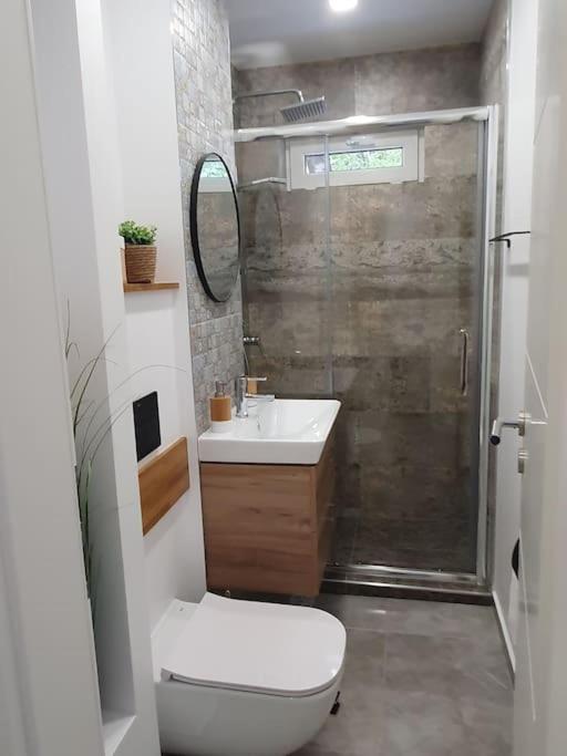 Apartament Ama Sibiu Eksteriør bilde