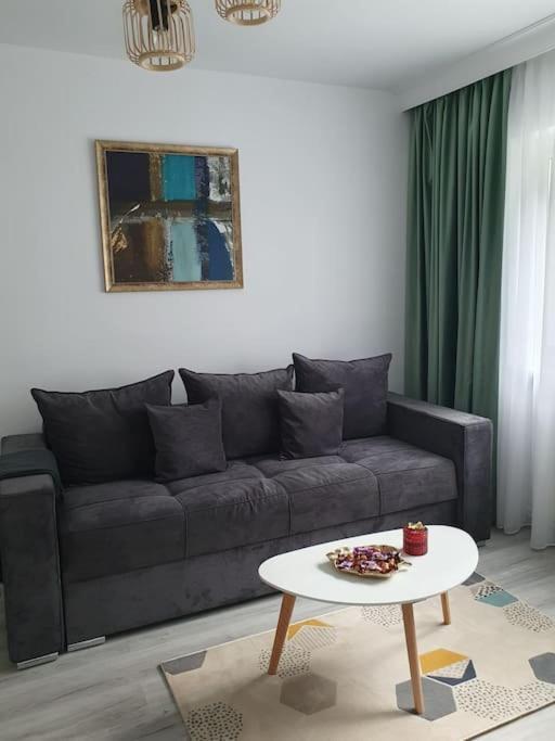 Apartament Ama Sibiu Eksteriør bilde
