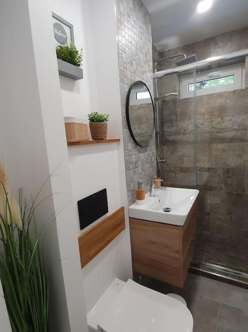 Apartament Ama Sibiu Eksteriør bilde
